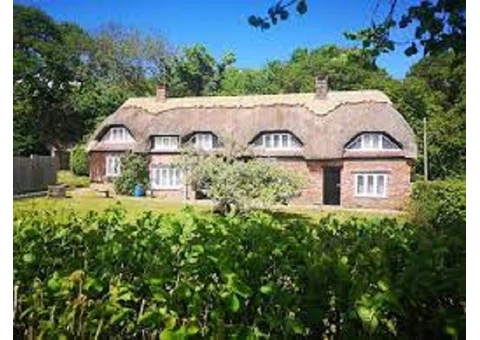 Master Roof Thatchers Salisbury