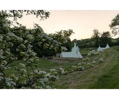 Enjoy Nature in Style: Best Luxury Glamping Spots in Devon