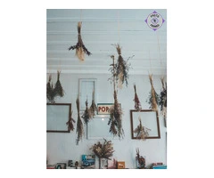 Maxi Poster Frame 12*16 Inch