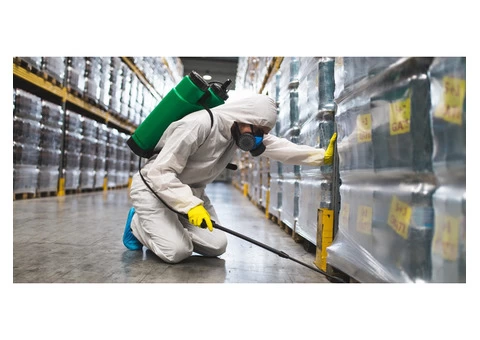 Hire the Most Trusted Pest Control Service in Redhill - 1/4
