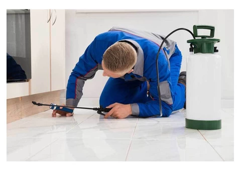 Hire the Most Trusted Pest Control Service in Redhill - 3/4