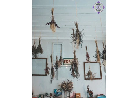 Maxi Poster Frame A5