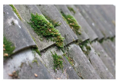 Asbestos Survey Banbury Solutions with Ledbury Surveys