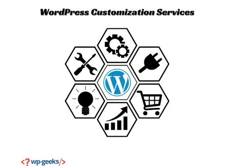 Get the Best Results with WordPress Customization Services