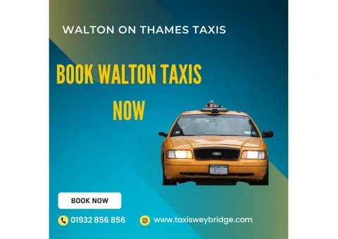 Why Choose Hampton Court Taxis for Your Next Journey?