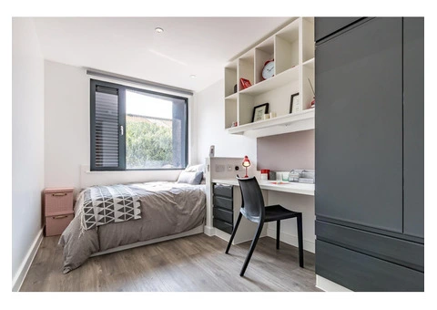 Palamon, Rhodaus & Currus Court: Student Accommodation in Canterbury, UK - 2/3