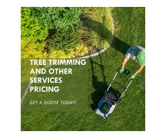 Elevate Your Outdoor Living with Arboreus Landscapes