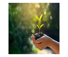 Sustainability Consultants