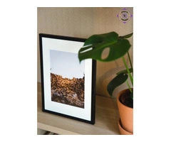 Rectangle Multi Color Frame A4
