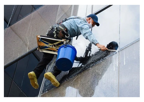 Professional Window Cleaning Solutions | Windowvix