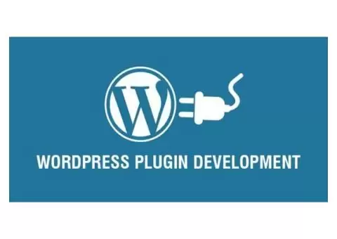 Empower Your Site with a WordPress Plugin Development Agency