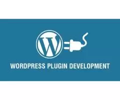 Empower Your Site with a WordPress Plugin Development Agency