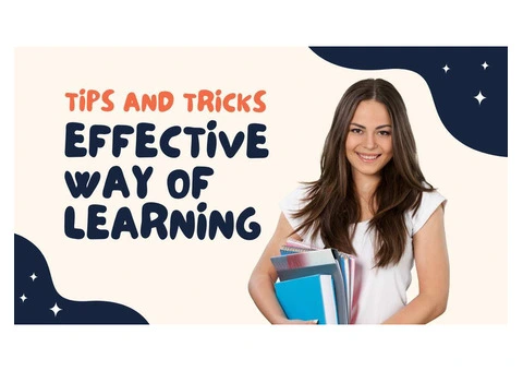High School Tutor, What is Your Role Beyond Education?