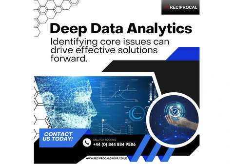 Unlock Insights with Deep Data Analytics | Reciprocal Group