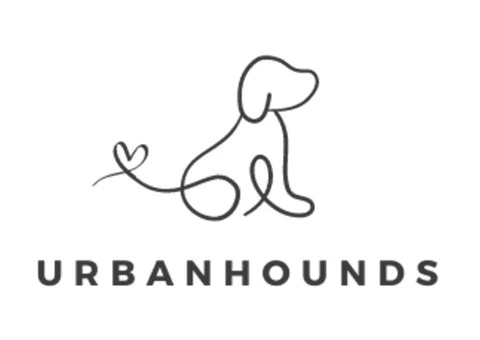 Trusted Dog Walker in Battersea! - 4/6