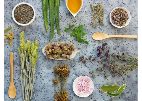 Fresh and Flavorful: Your Go-To Organic Herb Suppliers in the UK