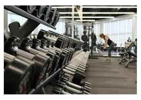 Gmlye - Gym Management System