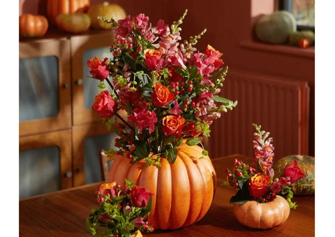Pumpkins at the ready