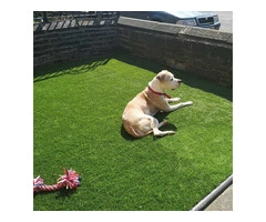 Fake Grass for Sale – Great for Any Yard Project!