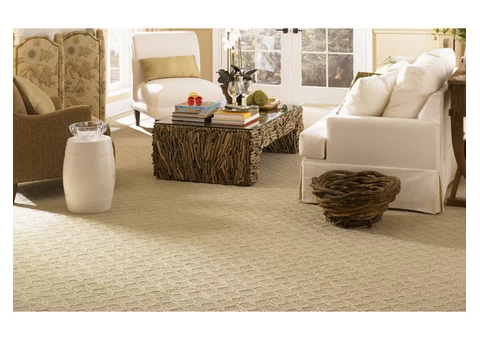 carpet cleaning services