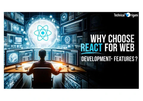 Expert ReactJS & Node.js Development for High-Performance Web Apps