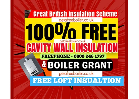 BOILER HEATING GAS ELECTRIC FREE - 2/2