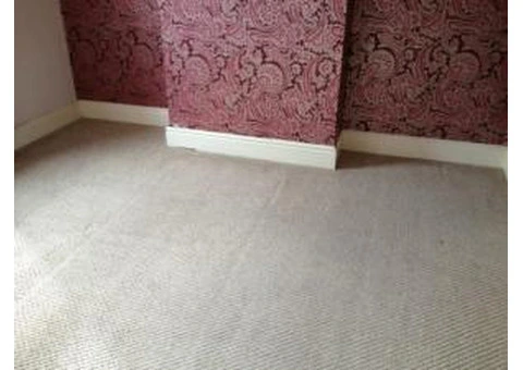 Professional and Reliable Carpet Cleaning Service