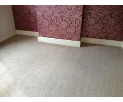 Professional and Reliable Carpet Cleaning Service