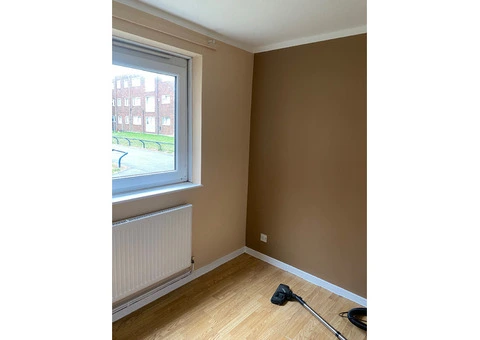 Professional Painter & Decorator - 1/11