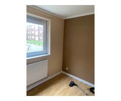 Professional Painter & Decorator