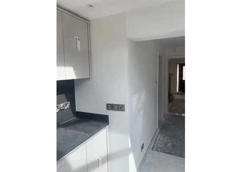 Professional Painter & Decorator - 2/11