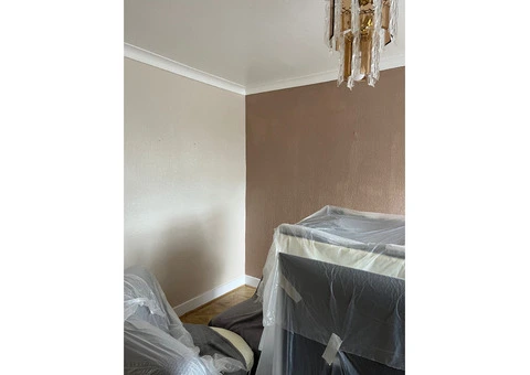 Professional Painter & Decorator - 4/11