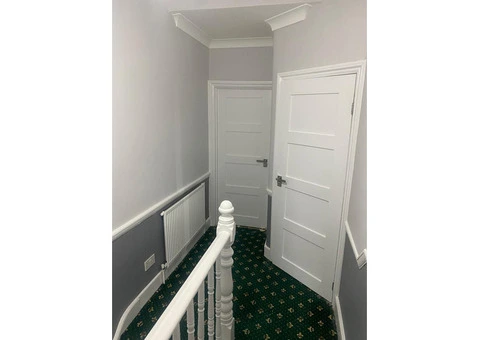 Professional Painter & Decorator - 5/11