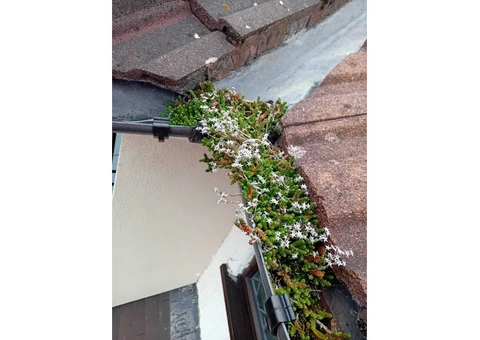 Downspout Cleaning Birmingham | Downspout Repair | Gutter Repair