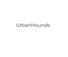 Professional Dog Walker in Battersea – Trust UrbanHounds with Your Pup!