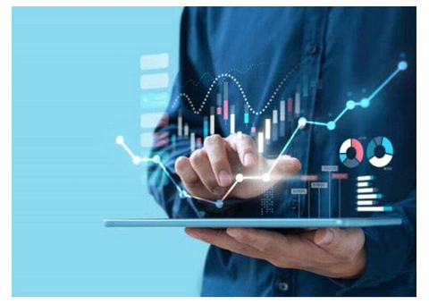 Achieve sustainable growth with expert organic SEO services.