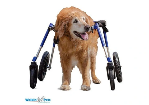 Wheels4dogs - 4/4