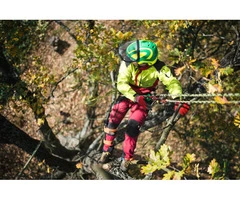 Choosing The Right Glasgow Tree Surgeon