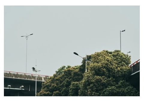 Choosing The Right Glasgow Tree Surgeon - 5/5