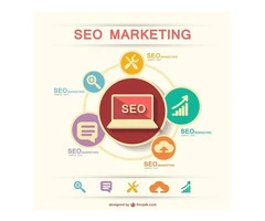 Use Our SEO Packages to Take Over Your Local Market