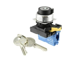 Buy | Omron Automation And Safety | Keylock Switches | DPST | Available | Enrgtech LTD