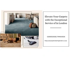 Elevate Your Carpets with the Exceptional Service of in London