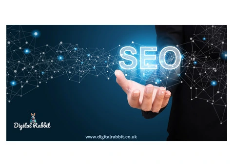 Digital Rabbit – Your Premier SEO Agency in the UK