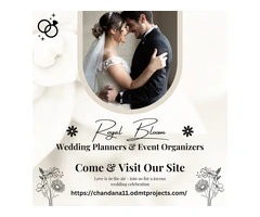 Royal Bloom Wedding Planners and Event Organizers