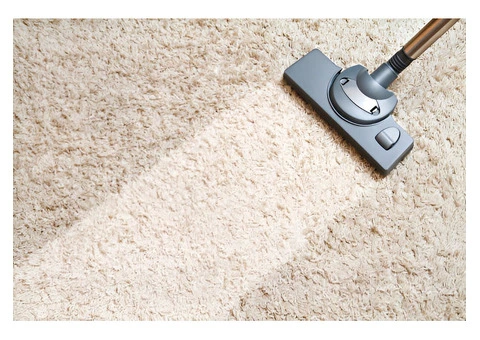Expert Melbourne Carpet Cleaners for Spotless Floors