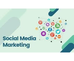 Social Media Agency