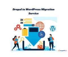 Comprehensive Drupal to WordPress Migration Services