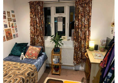 Student Life on Chase Road: Accommodation Options in Epsom - 2/2
