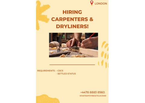 Dryliners / Plasterers!