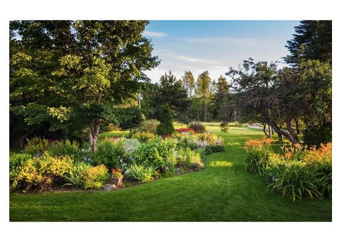 Trust the Qualified Landscapers of Walton on Thames for Perfect Work - 1/4